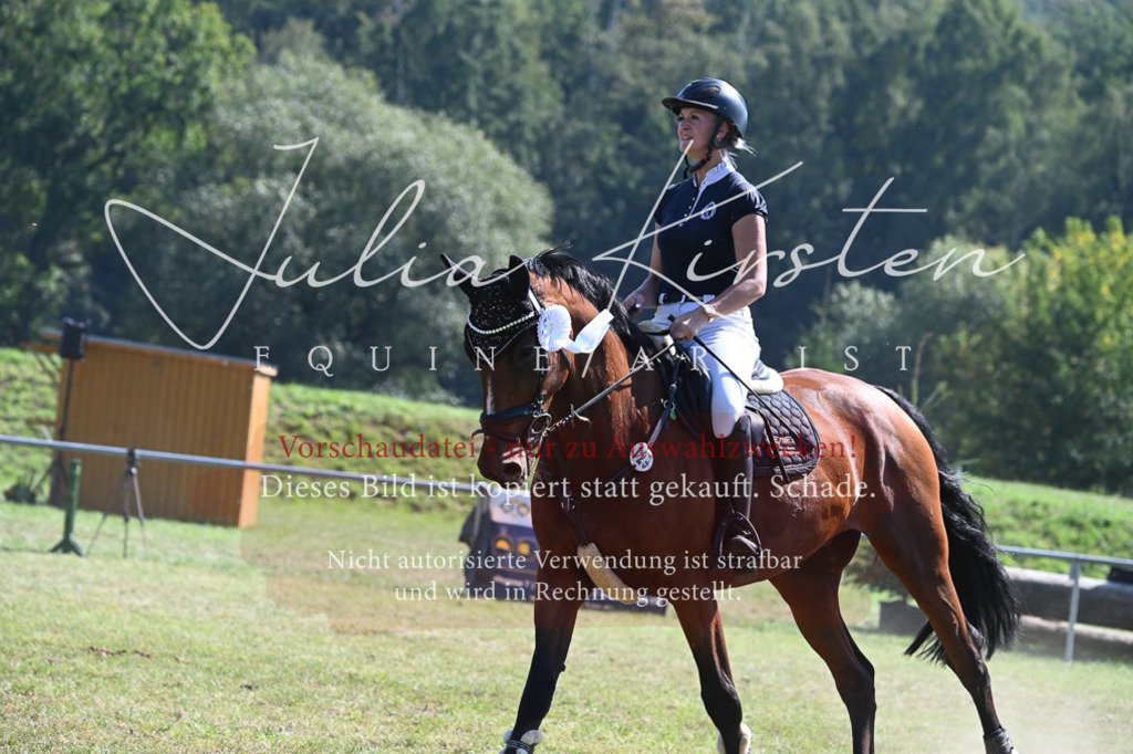 DSC_6513 | Pferde- und Turnierfotografie in Westsachsen. Pferdeportraits, Auftragszeichnungen und intuitive Kunst.
