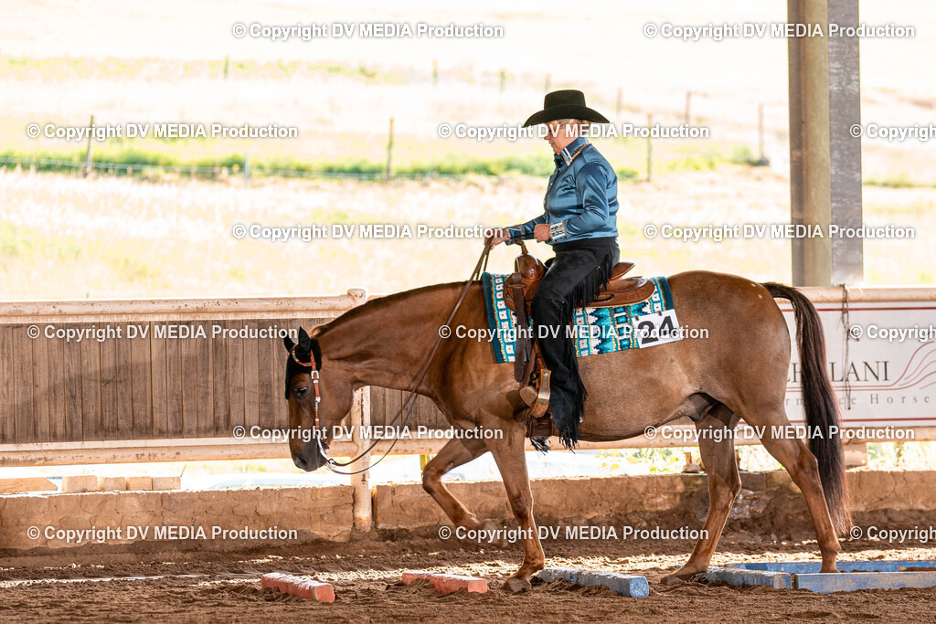 Erbach Tag 2-62 | dv-media-shop - Realisiert mit Pictrs.com