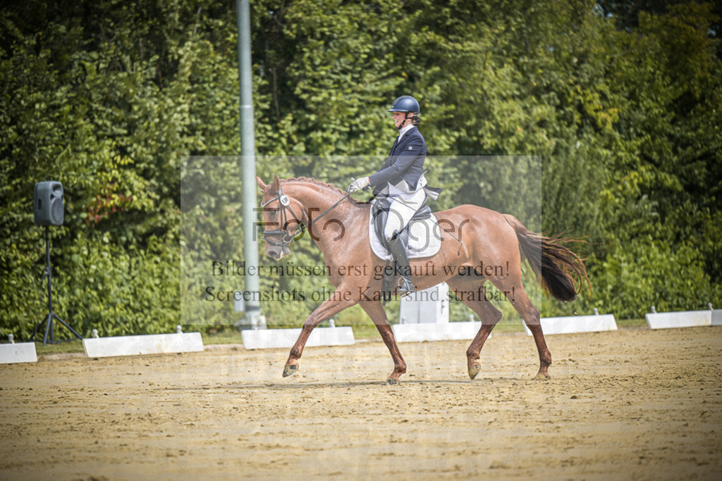 DOS_0967 | Entdecke hochwertige Reitturnierfotos von Foto Oger. Professionell, emotional und authentisch – jetzt Lieblingsmomente im Shop bestellen.Deutschlandweite Turnierfotografie. - Realisiert mit Pictrs.com