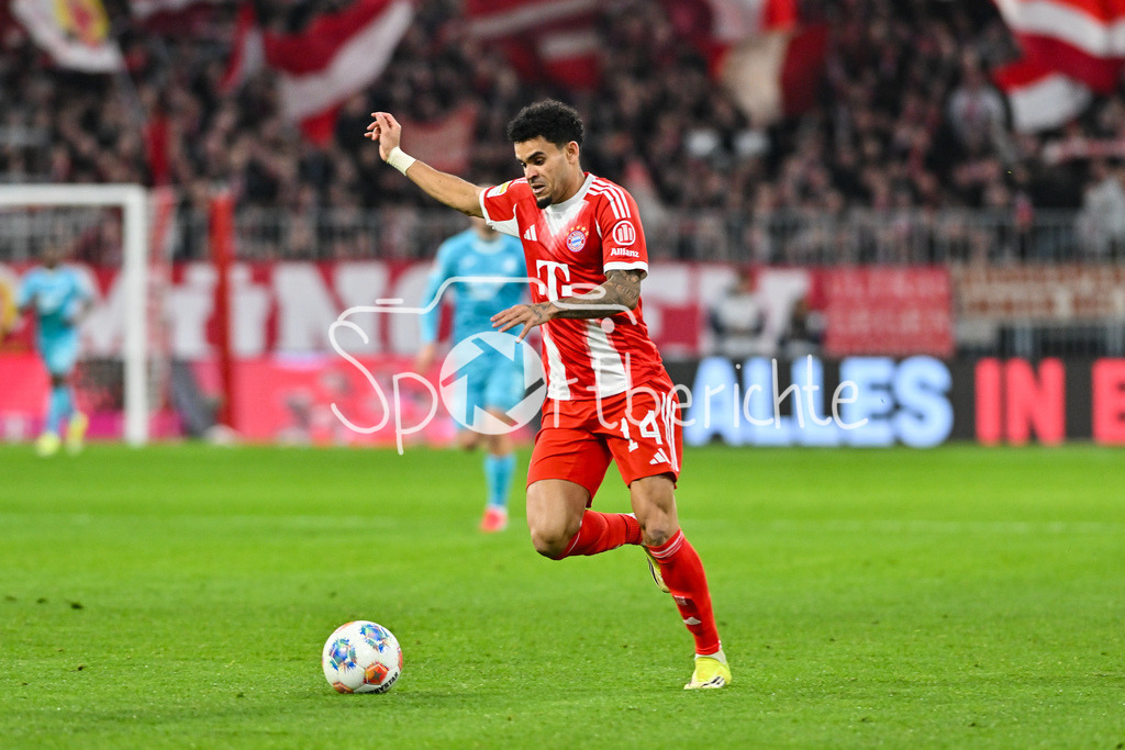 FC Bayern München - TSG 1899 Hoffenheim | MUNICH, GERMANY - 08. FEBRUARY: im Bild Luis DIAZ (FC Bayern Munich 14) / Einzelfoto / Freisteller während dem Bundesligamatch zwischen dem FC Bayern München und der TSG 1899 Hoffenheim am 21. Spieltag in der Allianz Arena / DFL REGULATIONS PROHIBIT ANY USE OF PHOTOGRAPHS AS IMAGE SEQUENCES AND/OR QUASI-VIDEO