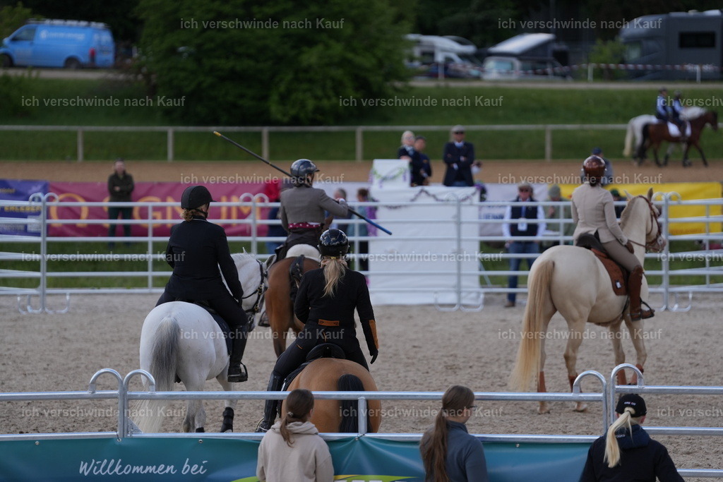 PI26_GesamtCOW_JansPictures_7C_00184.JPG | working equitationturnier fotograf videograf stoibphotography marixx film working equitation deutschland reitsport turnierfotografie eventfotografie equestrian events