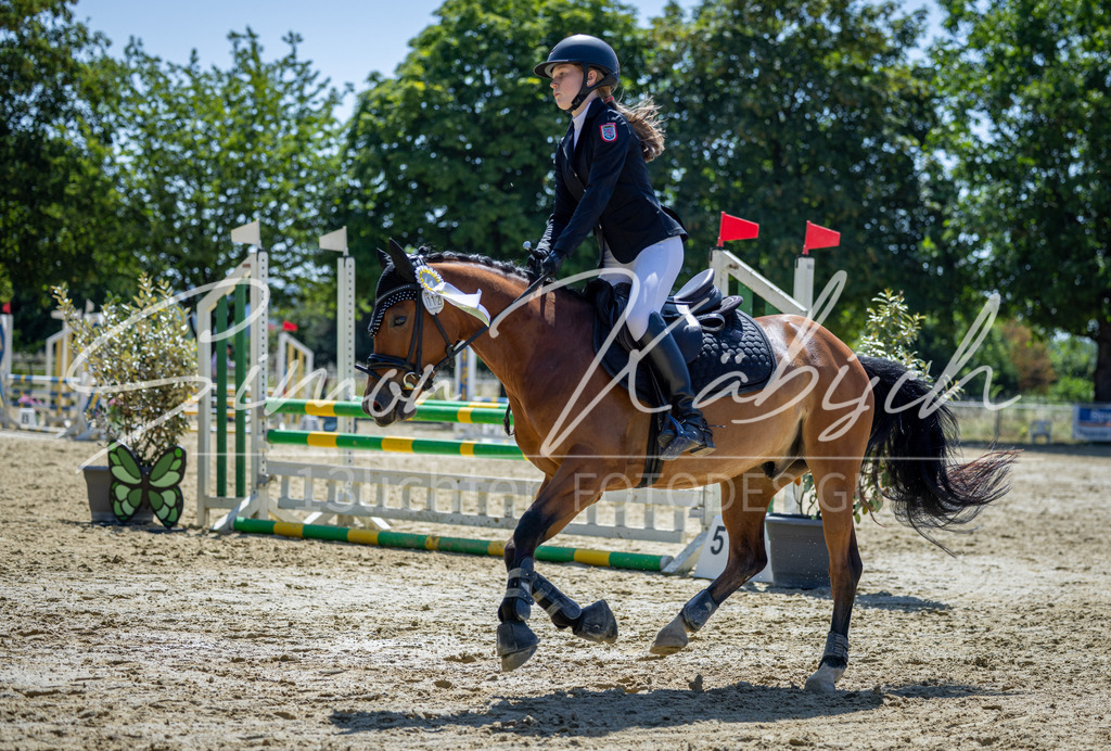 20260704-_3LI8251 | Tierfotografie Pferde, Hunde, Katzen, Haustiere.
Turnierfotografie Reitturniere, Reiten, Springreiten, Dressur in Hanau, dem Main-Kinzig-Kreis und dem Rhein-Main- Gebiet um Frankfurt
