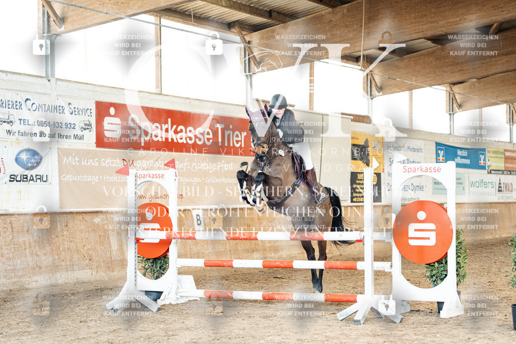 CK905147 | Turnierfotografie Pferdefotografie Trier Rheinland-Pfalz Pferdesport Reitsport Tierfotografie Sportfotografie Pferdevideo Pferdevideografie Equestrianvideography equestrianphotography  - Realized with Pictrs.com