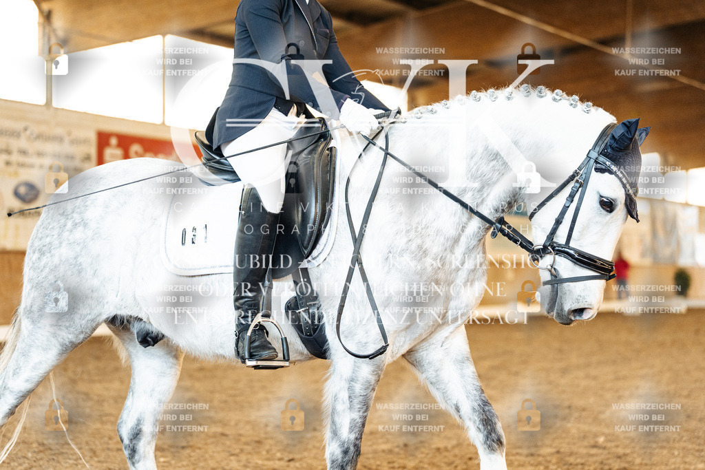 CK907712 | Turnierfotografie Pferdefotografie Trier Rheinland-Pfalz Pferdesport Reitsport Tierfotografie Sportfotografie Pferdevideo Pferdevideografie Equestrianvideography equestrianphotography  - Realisiert mit Pictrs.com