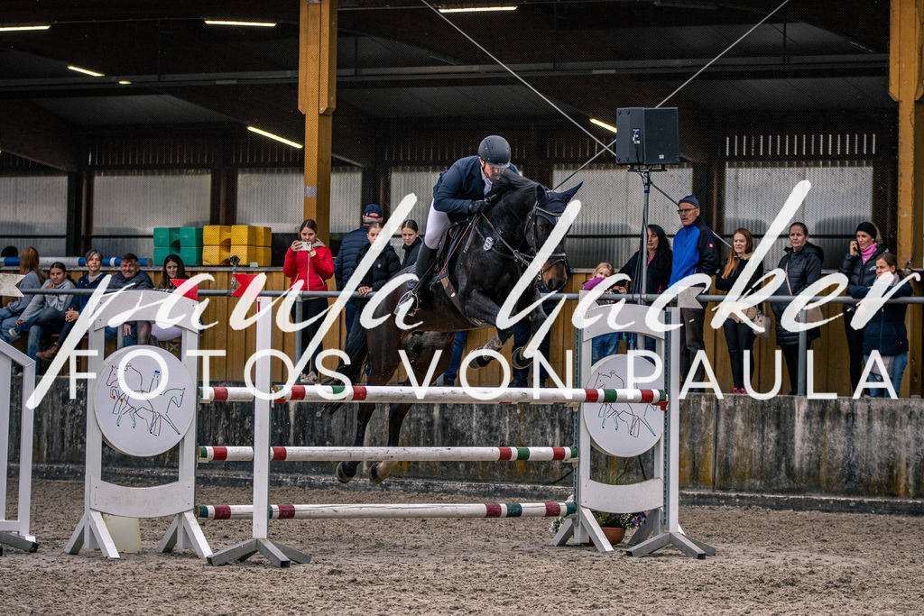 IMG_6030 | Erleben Sie dynamische Sport- und emotionale Tierfotografie in Süddeutschland mit Fotos von Paula. Spezialisiert auf Pferde- und Hundefotografie sowie Sportevents. Kontaktieren Sie mich für einzigartige und ausdrucksstarke Bilder Ihrer besonderen Momente.