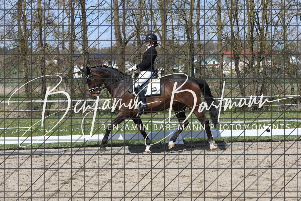 AZ2A5383 | Benjamin Bartmann Photomoments