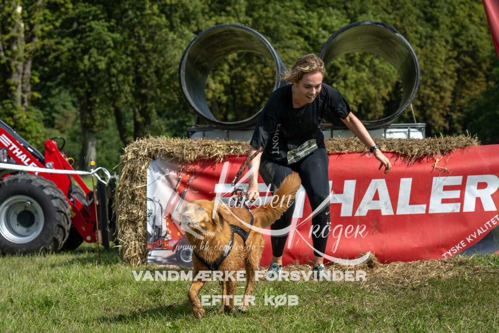 1307_ZZ92273 | kk-dogfotos