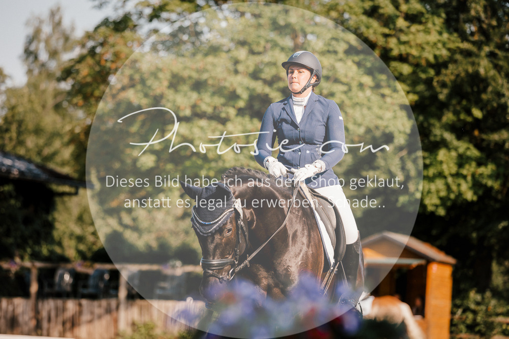 3I6A8573 | Stimmungsvolle Portraits und Reitsportfotografie im Ruhrgebiet und im Münsterland.

Pferdefotografie, Hundefotografie, Tierfotografie, Reportagen, Portraits von Tier und Mensch, Turnierfotografie in Bochum, Recklinghausen, Marl, Haltern am See, Dülmen.. - Realisiert mit Pictrs.com