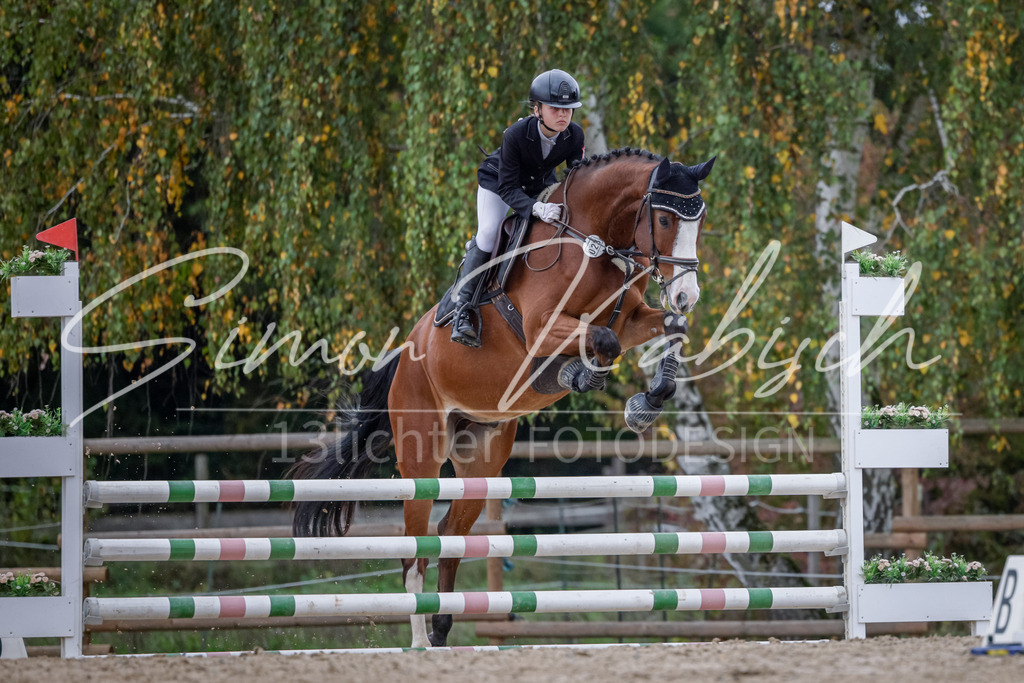 20251012-_3LI3925 | Tierfotografie Pferde, Hunde, Katzen, Haustiere.
Turnierfotografie Reitturniere, Reiten, Springreiten, Dressur in Hanau, dem Main-Kinzig-Kreis und dem Rhein-Main- Gebiet um Frankfurt