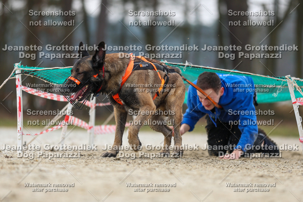 Dog Paparazzi - Strongdog North Mrz26-4536 | Dog Paparazzi Jeanette Grottendiek Fotografie & Videografie - Realisiert mit Pictrs.com