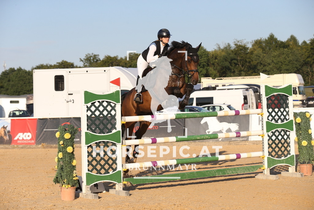 DL2Q1006 | Willkommen bei Brunnmayr - Design & Fotografie – Ihrem Spezialisten für Reitturniere und Pferdeveranstaltungen in Oberösterreich, Salzburg und Bayern! Seit über 17 Jahren sind wir leidenschaftlich dabei.