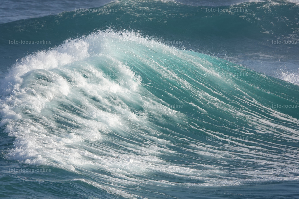 Wild Waves | Wild Waves Atlantic