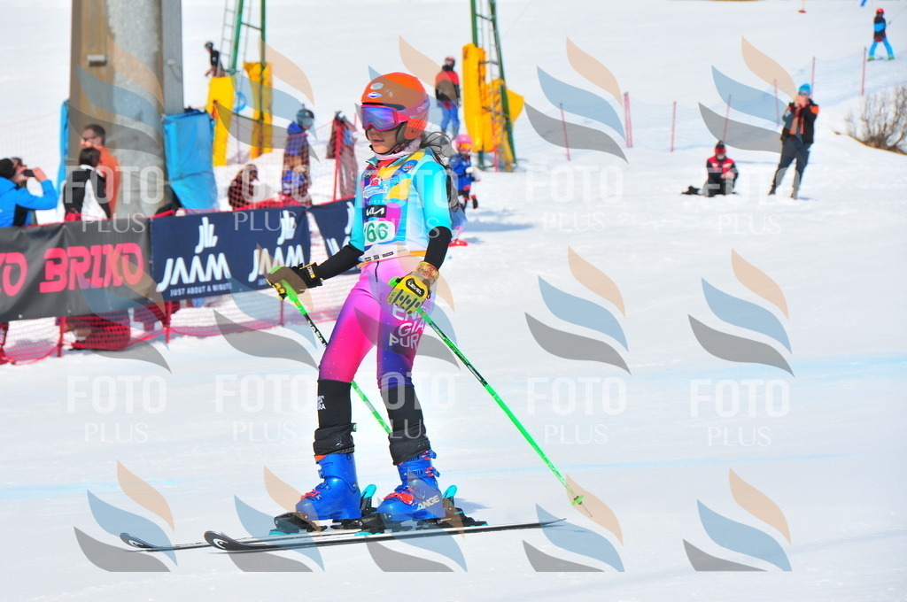 DSC_1493 | holidayphoto