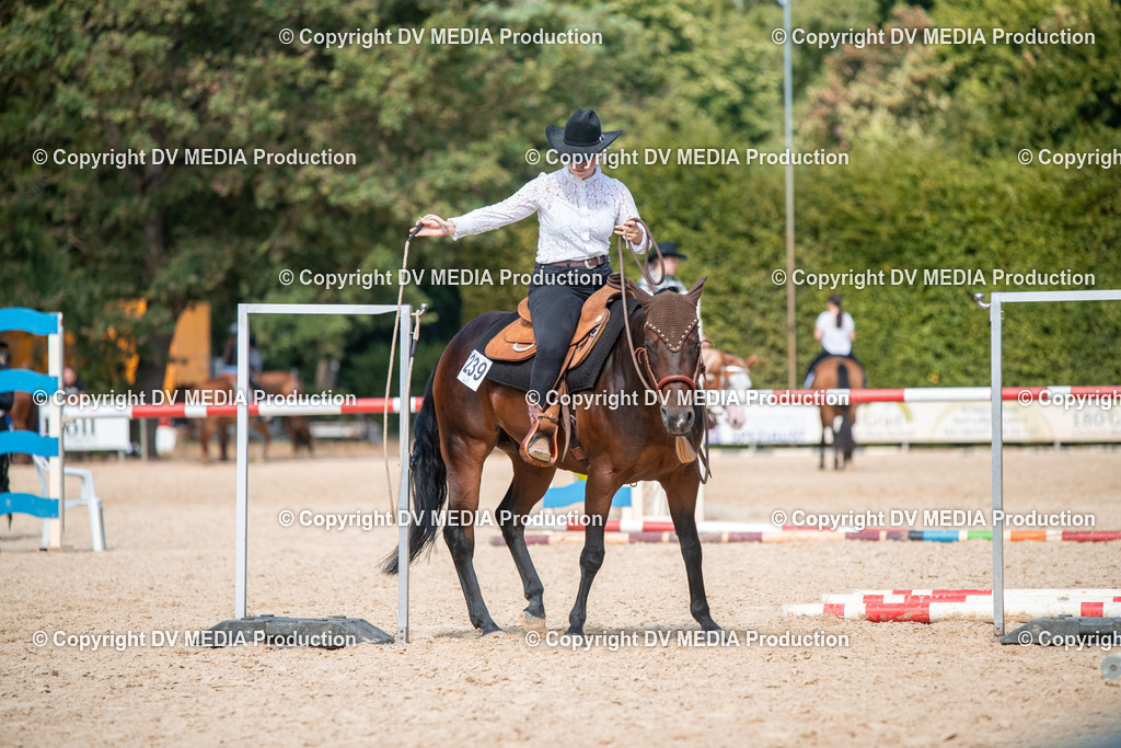 EWP_6819 | dv-media-shop - Realisiert mit Pictrs.com