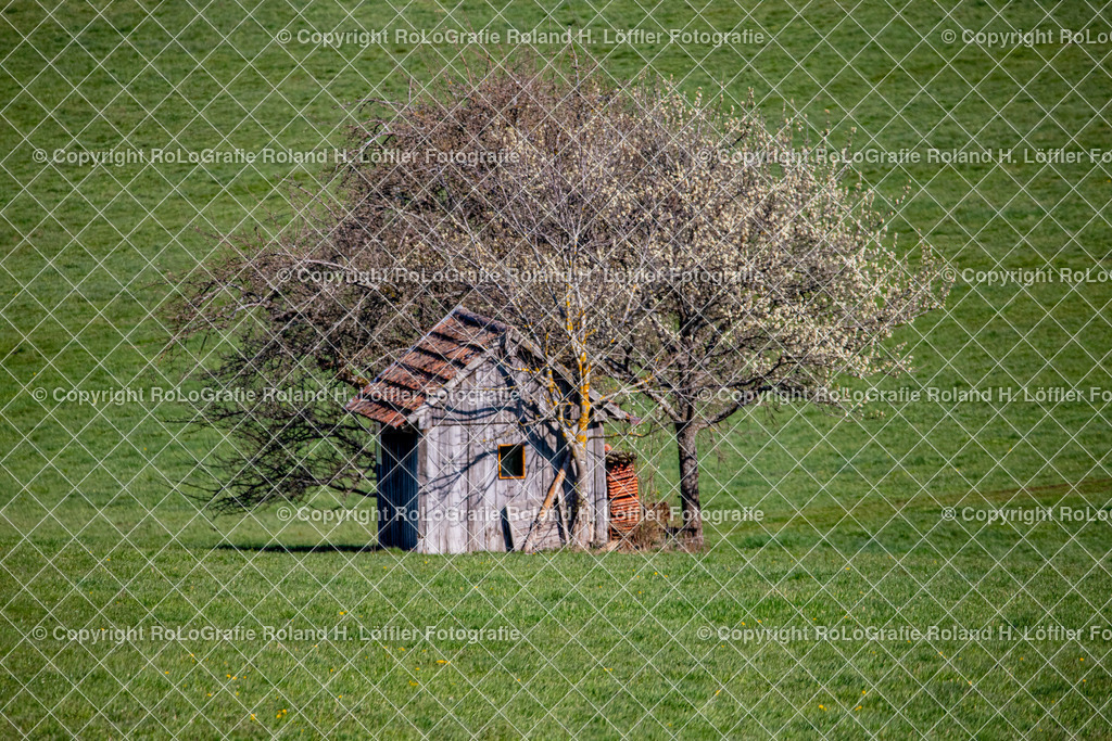 Landschaft-03 | Feldhütte am Baum mitten auf einer Wiese - Realisiert mit Pictrs.com