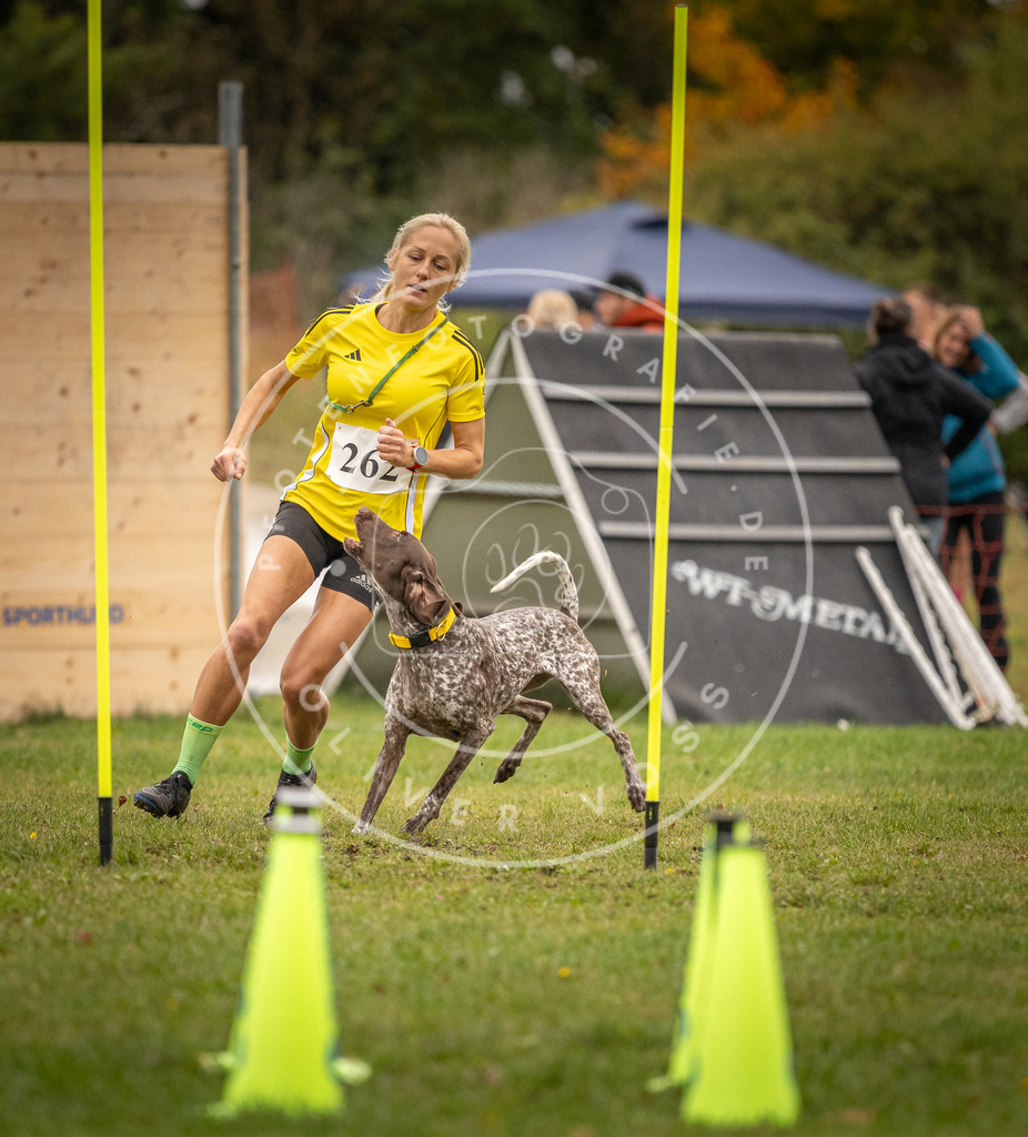 Pfotenfotografie_DV3A7204 | Hundefotografie, Tierfotograf, Pfotenfotografie, Fotoshooting Hund, Hunde Portrait, Hundesport, Hundeportraits, Heideshooting, Hunde, Sportfotograf, Hundefotograf, Turnierhundsport, THS,  - Realisiert mit Pictrs.com