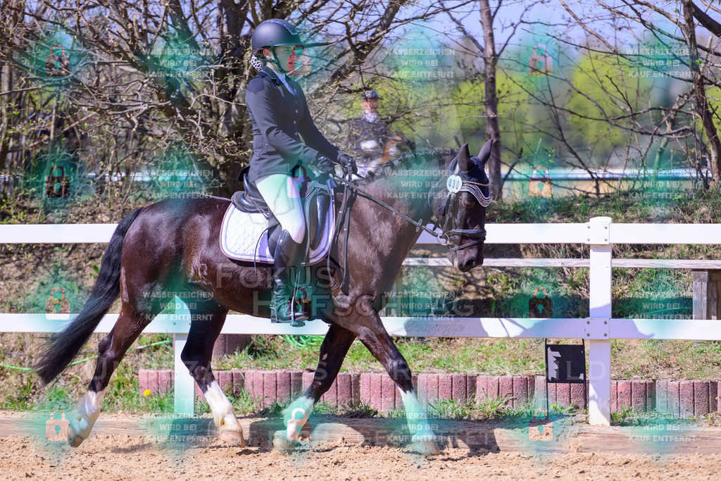 11042026-Mammendorf-Prfg31-1-0414 | Fokus Hufschlag Fotografie - Realisiert mit Pictrs.com