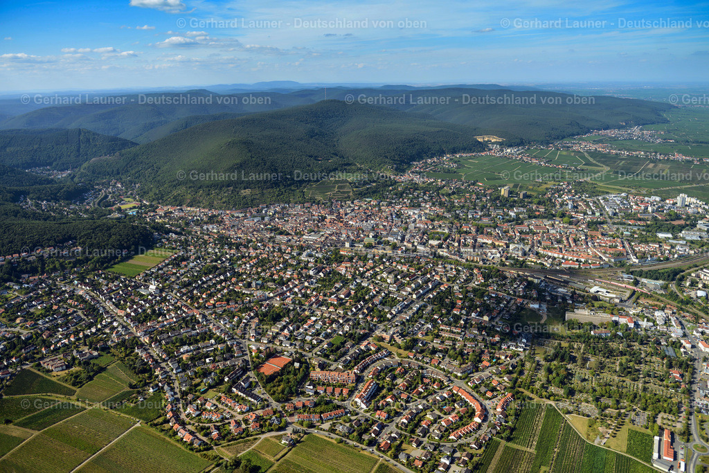 3290812 | Neustadt a.d. Weinstrasse