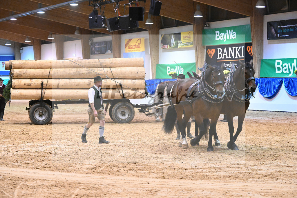 Schauprogramm_54222532 | hf-fotografie - Realisiert mit Pictrs.com