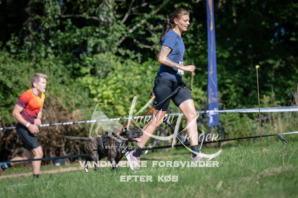 1024_ZZ98490 | kk-dogfotos