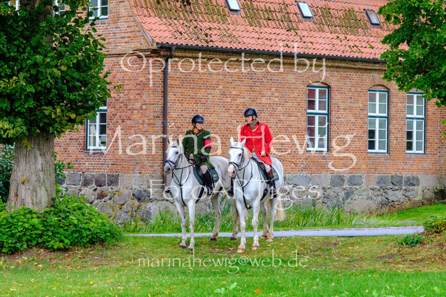 Jagd Kletkamp 26-9470_MarinaHewig | Fotografie, FotoArt, PferdesportArt, Pferdesportfotografie, Landschaftsfotografie, Reisefotografie, Reise, Pferde - Realisiert mit Pictrs.com