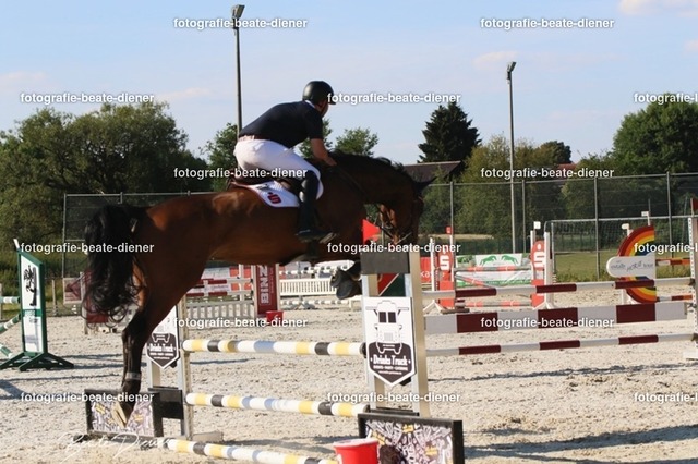OHT 2022 Röhlingen (109) | Fotografie, Tiere, Hunde, Katzen, Pferde, Sportfotografie, Fotosession, Tierfotografie, Turnierfotografie, Fotografin, Fotograf - Realisiert mit Pictrs.com