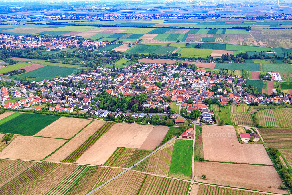 Luftbild: Ortsansicht von Norden im Ortsteil Leiselheim in Worms im Bundesland Rheinland-Pfalz in Deutschland. Foto: IMG_088558.jpg vom 17.05.2016 durch Werner Riehm/FLY-FOTO.de