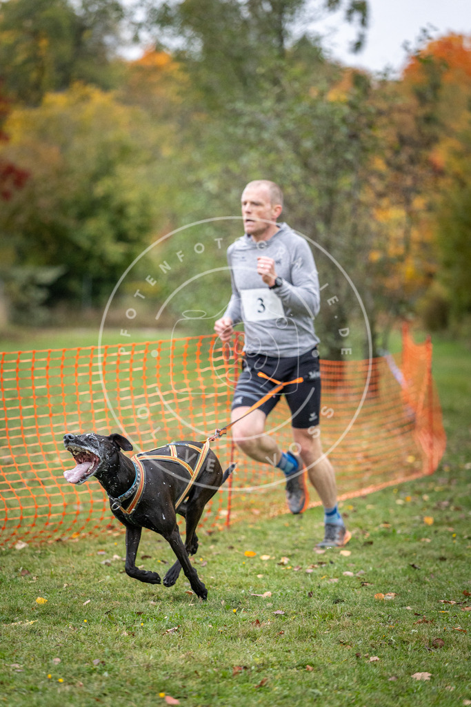 Pfotenfotografie_DV3A1623 | Hundefotografie, Tierfotograf, Pfotenfotografie, Fotoshooting Hund, Hunde Portrait, Hundesport, Hundeportraits, Heideshooting, Hunde, Sportfotograf, Hundefotograf, Turnierhundsport, THS,  - Realisiert mit Pictrs.com