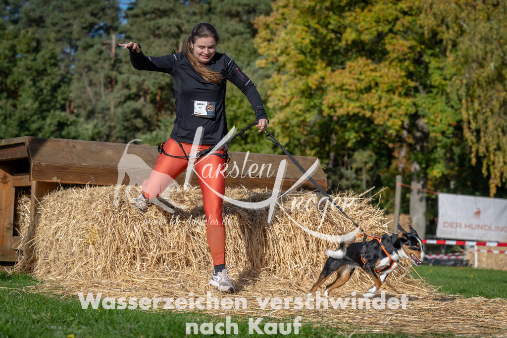 1031_ZZ90846 | kk-dogfotos
