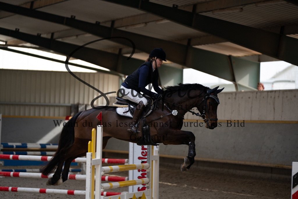 A7V08384 | Pferdefotograf