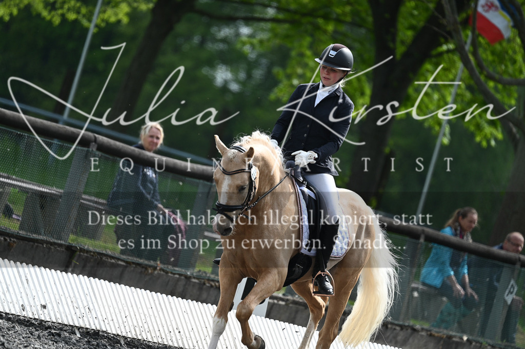 20230512_JK-Röhrsdorf-01-007 | Pferde- und Turnierfotografie in Westsachsen. Pferdeportraits, Auftragszeichnungen und intuitive Kunst.