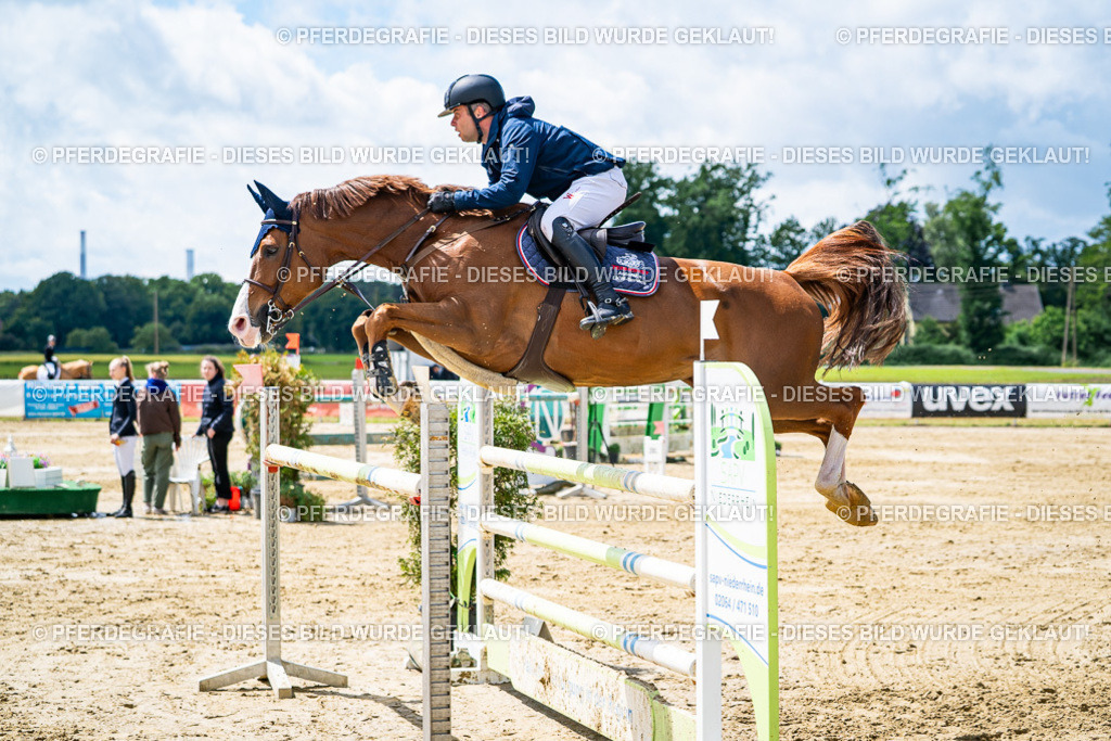 DSC04915 | Pferdegrafie