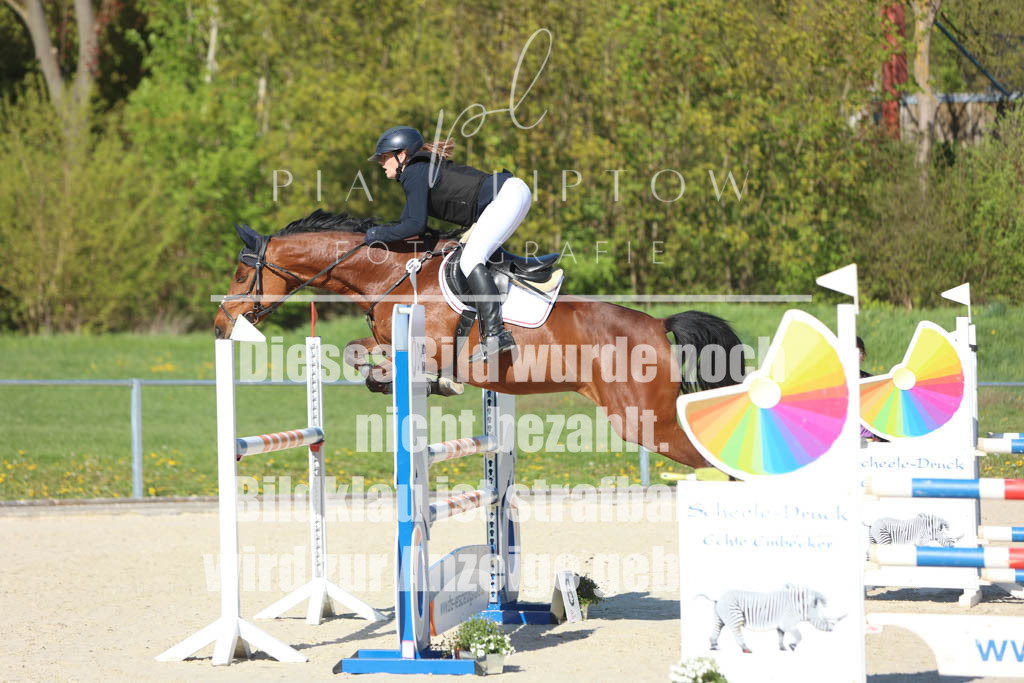 IMGM2558 | pl-fotografie