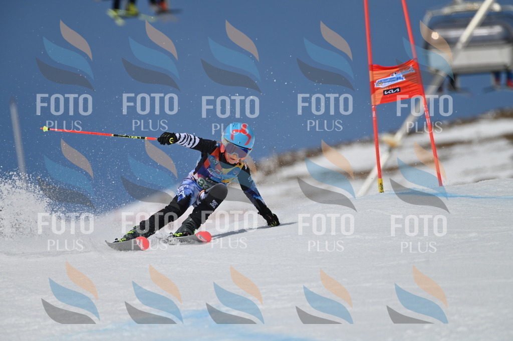 BGV_6626 | holidayphoto