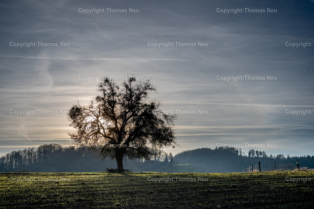 Odenwald_Kolmbach_Winterspaziergang_Fotografie_Thomas-Neu-8 | Winterliche Odenwald-Landschaft bei Lindenfels: Feldwege, Wiesen und Weitblicke rund um Kolmbach – ruhige Naturfotografie von Thomas Neu.