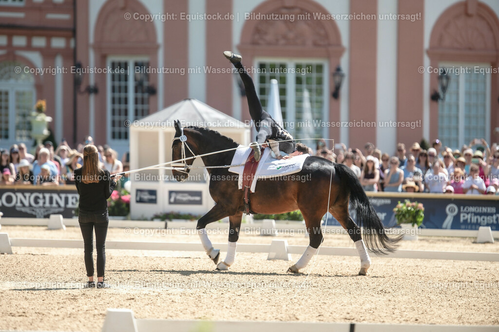 20230528_Voltigieren_NASPA_0134 | equistock