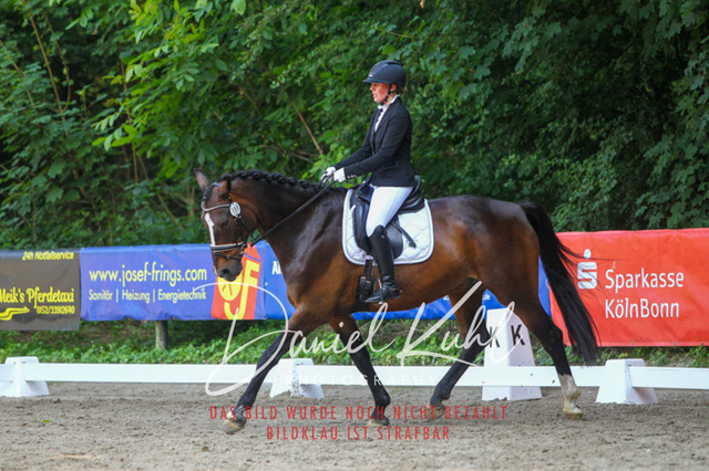 DKP42812 | Turniersportfotografie; Pferdefotografie; Dressurfotografie