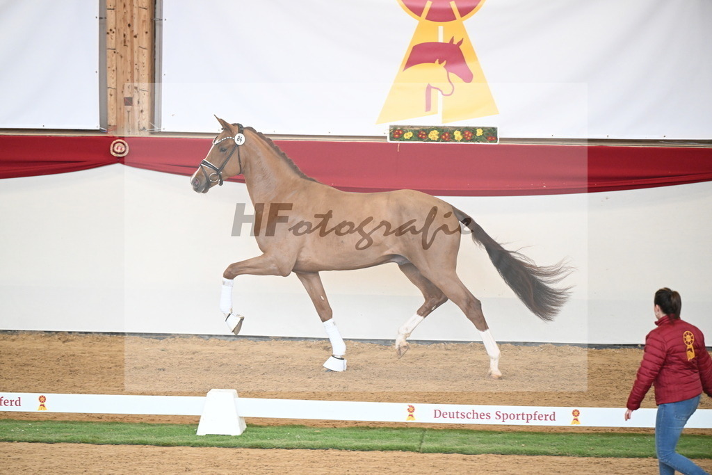 Kat.-Nr. 84 v. Vaderland_van den Oetelaar_2250817 | hf-fotografie - Realisiert mit Pictrs.com