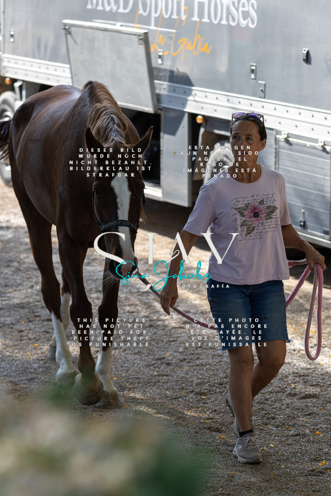 IMG_4639 | s-jay-photography - Realisiert mit Pictrs.com