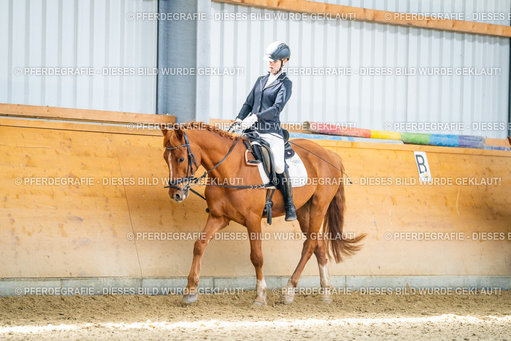 DSC03267 | Pferdegrafie