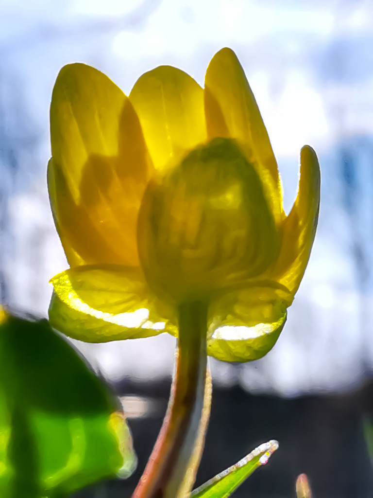 PSX_20230322_224659 | mtkfoto_ - Realisiert mit Pictrs.com