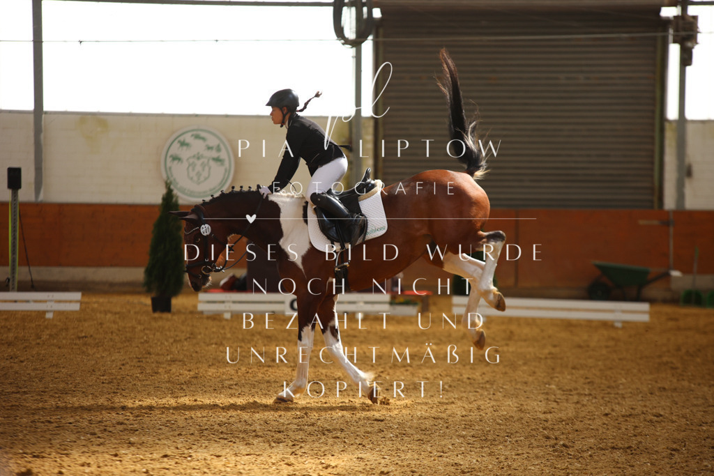 IMGT3696 | pl-fotografie