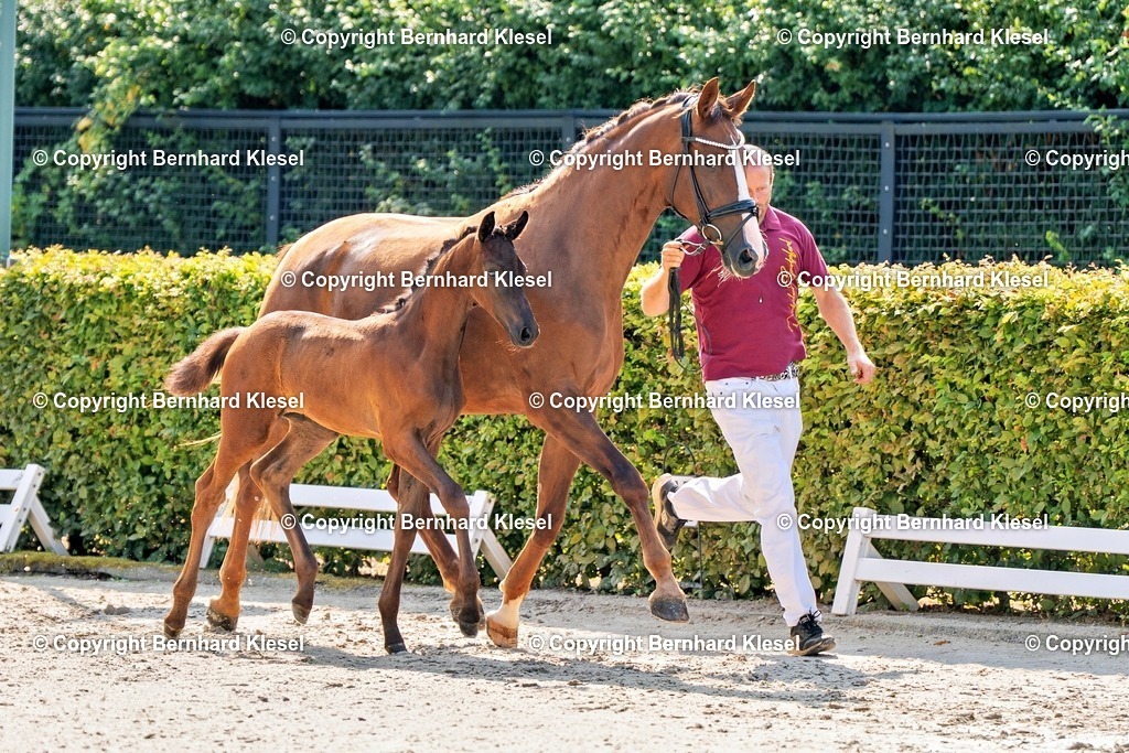 2A908863 | foto-team-bernhard - Realisiert mit Pictrs.com