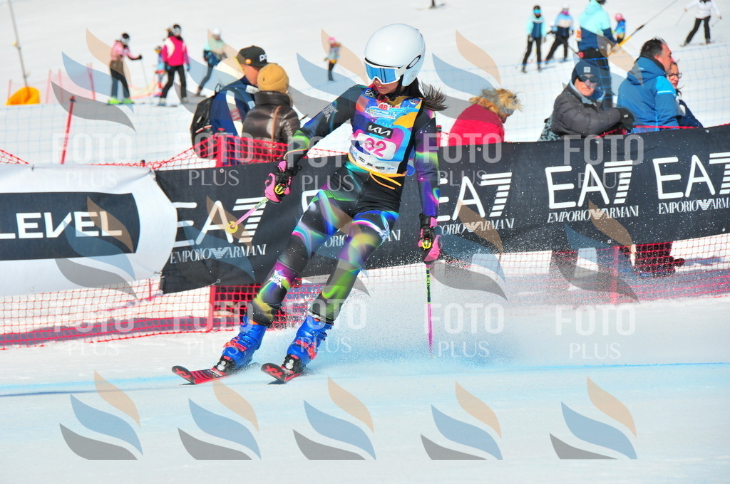 DSC_3951 | holidayphoto