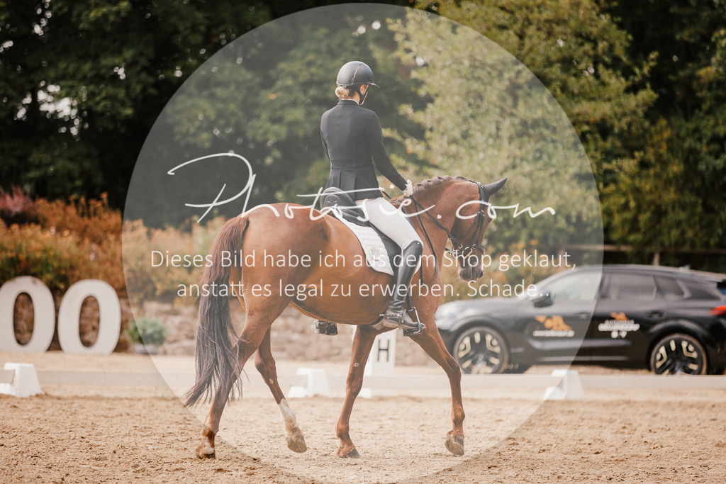 3I6A6227 | Stimmungsvolle Portraits und Reitsportfotografie im Ruhrgebiet und im Münsterland.

Pferdefotografie, Hundefotografie, Tierfotografie, Reportagen, Portraits von Tier und Mensch, Turnierfotografie in Bochum, Recklinghausen, Marl, Haltern am See, Dülmen.. - Realisiert mit Pictrs.com