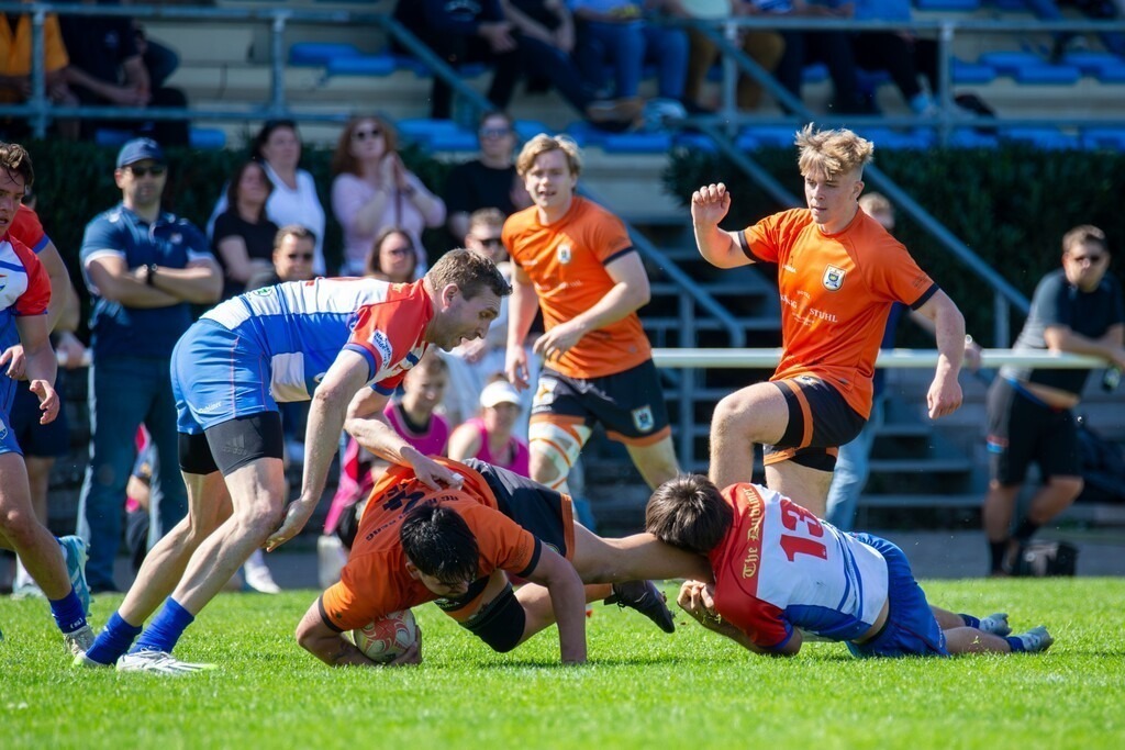 Rugby 1. Bundesliga Süd/West, Saison 2024/25, 10. Spieltag: RG Heidelberg gegen Heidelberger Ruderklub 1872  | Rugby 1. Bundesliga Süd/West, Saison 2024/25, 10. Spieltag: RG Heidelberg gegen Heidelberger Ruderklub 1872  - Realisiert mit Pictrs.com