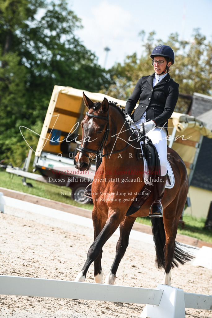 20230518_JK-Röhrsdorf-09-1246 | Pferde- und Turnierfotografie in Westsachsen. Pferdeportraits, Auftragszeichnungen und intuitive Kunst.