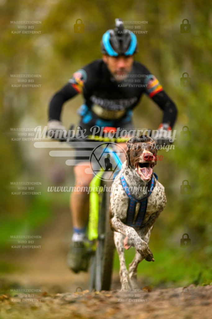 MompixPhotography_20TSB_E6_Bike-25 | PayLife