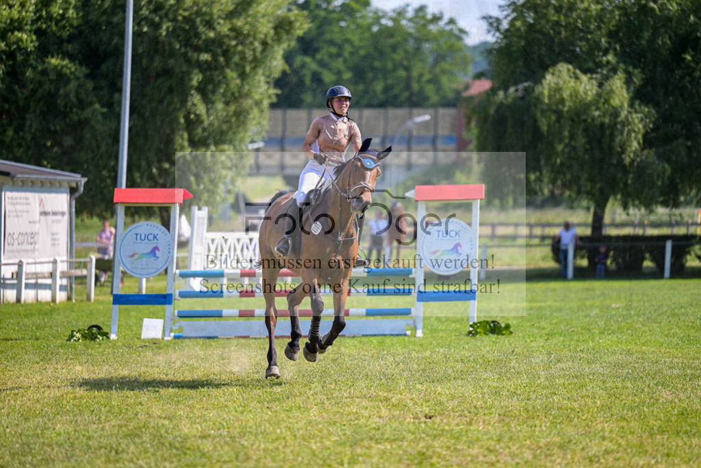 Reitturnier Voxtrup | Entdecke hochwertige Reitturnierfotos von Foto Oger. Professionell, emotional und authentisch – jetzt Lieblingsmomente im Shop bestellen. - Realisiert mit Pictrs.com