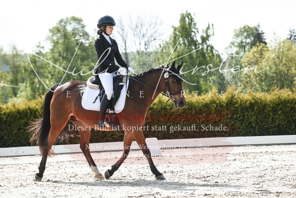 20230518_JK-Röhrsdorf-09-1413 | Pferde- und Turnierfotografie in Westsachsen. Pferdeportraits, Auftragszeichnungen und intuitive Kunst.